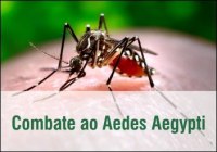 MP acompanha ações do Poder Público contra Aedes Aegypti em Pimenta Bueno, São Felipe e Primavera - Foto: Reprodução Google Ilustrativa