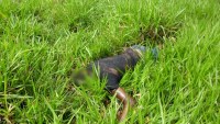 Corpo de homem em decomposição é achado na zona rural de Ariquemes - Foto: Rinaldo do Balanço Notícias