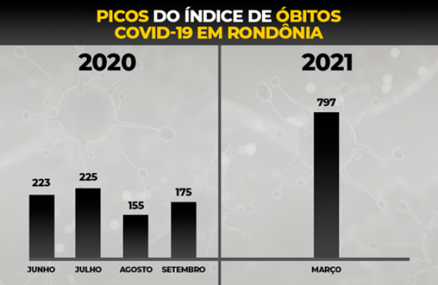  (Foto: Divulgação)