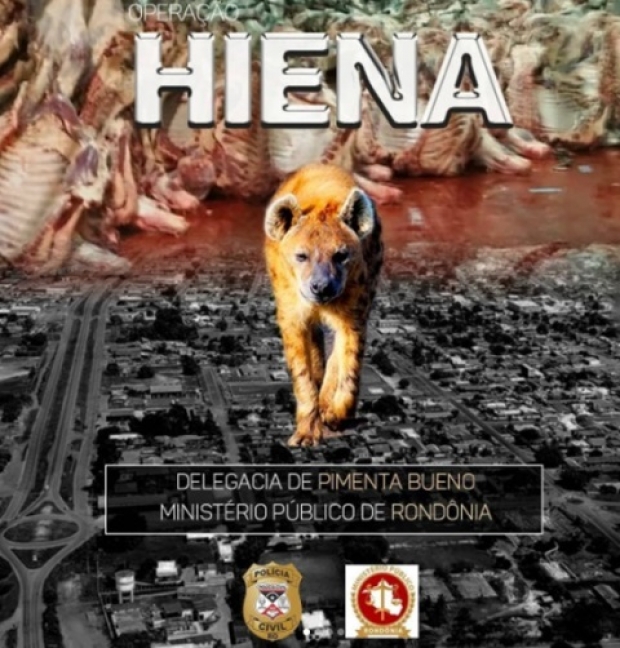 Polícia Civil e MP deflagram a Operação Hiena em Pimenta Bueno-RO (Foto: Divulgação)
