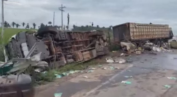  (Foto: Divulgação)