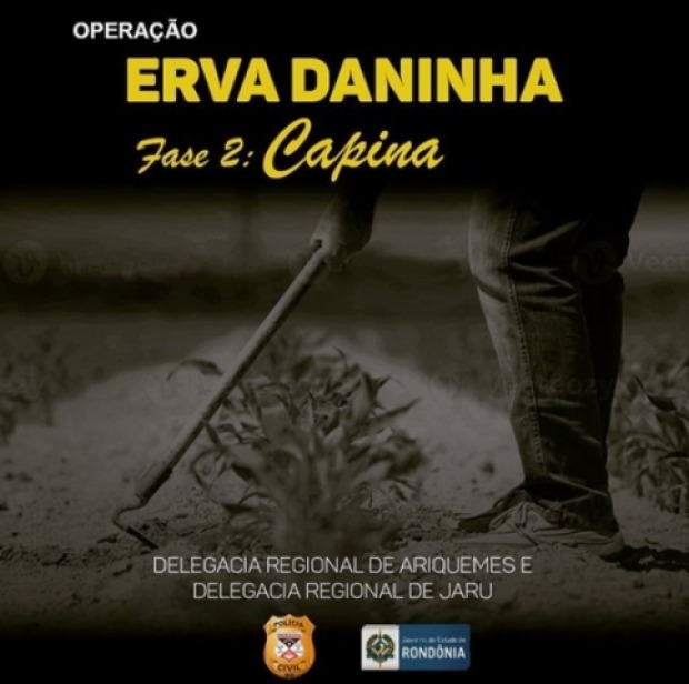  (Foto: Divulgação)