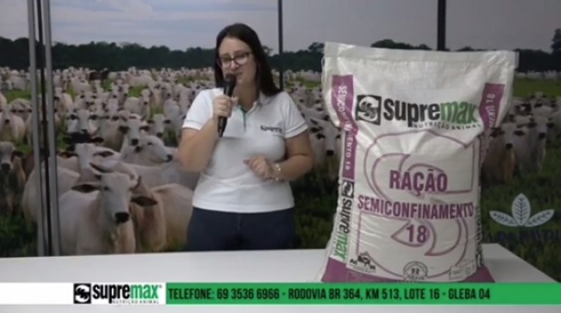  (Foto: Reprodução)