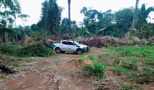 Homem é multado por desmatar 13 hectares de reserva em menos de um ano em Rondônia