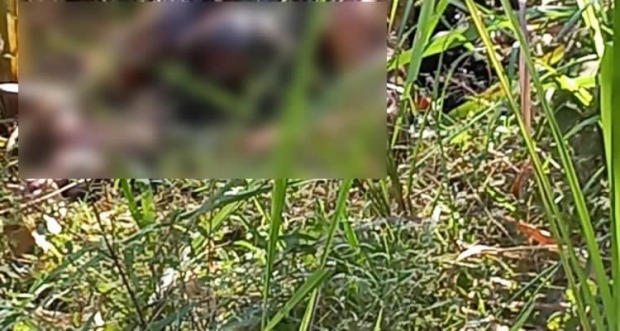  (Foto: Reprodução)