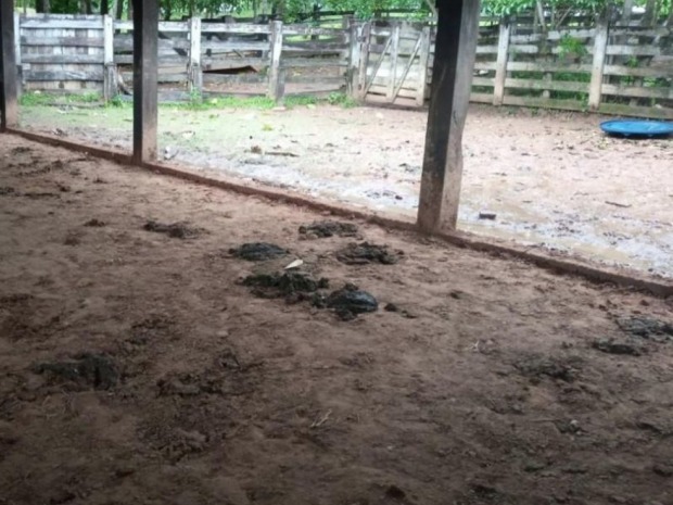 Local onde homem morreu após ser pisoteado por um boi (Foto: Redes Sociais)