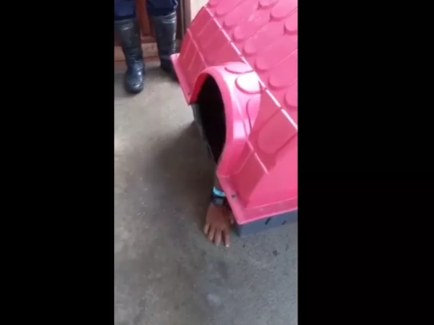 Jovem bêbado perde rumo de casa em RO e é flagrado dormindo em casinha de cachorro (Foto: Redes Sociais)