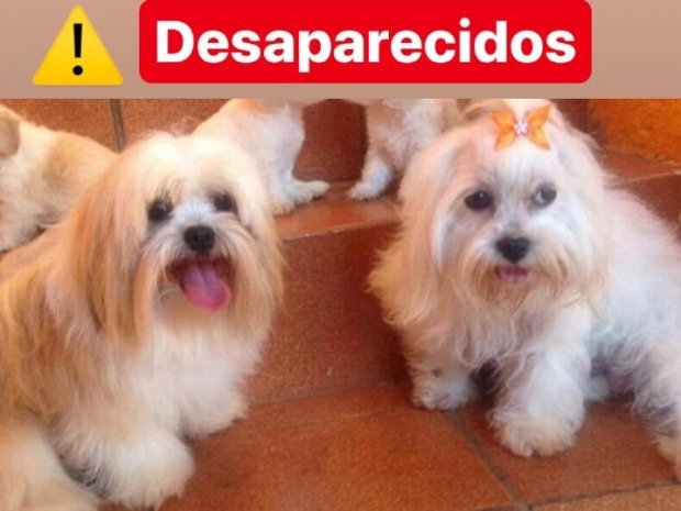  (Foto: Reprodução)