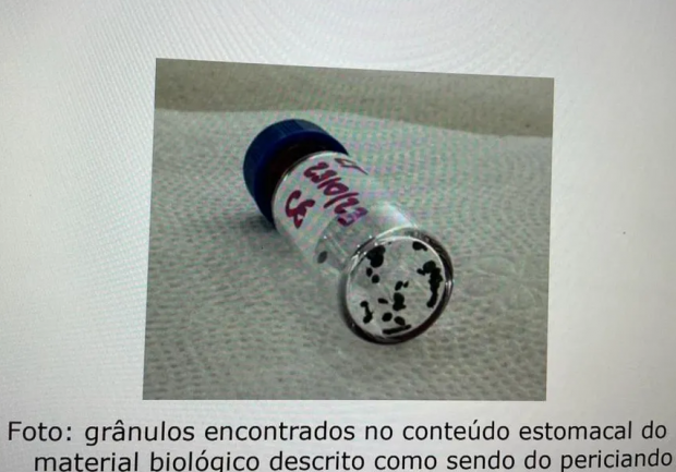 Resíduo de componente usado no chumbinho foi encontrado no estômago de idoso e animais (Foto: Reprodução/PC-RO)