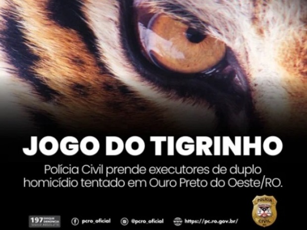  (Foto: Reprodução)