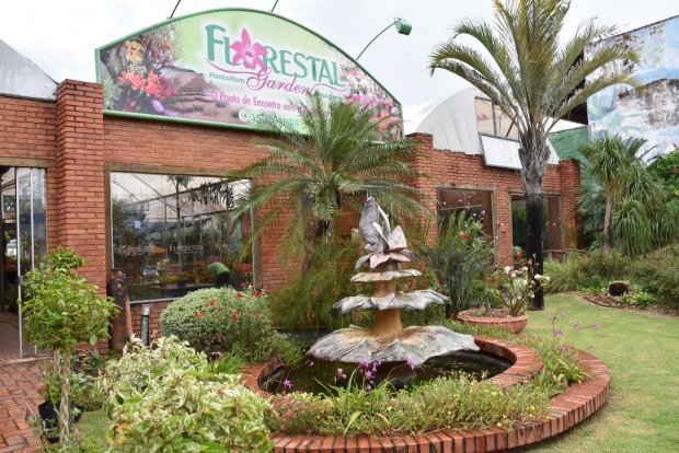  (Foto: Reprodução)