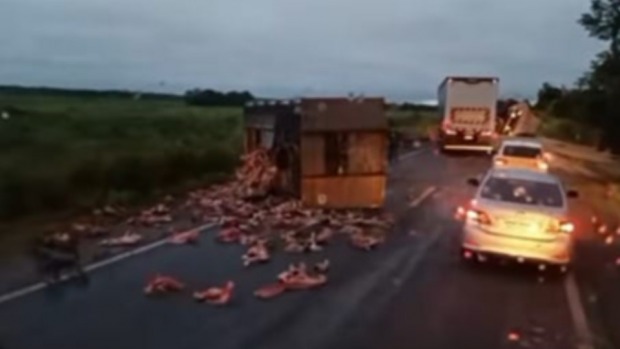 Grave acidente entre caçamba carregada de ossos e carreta é registrado na BR-364