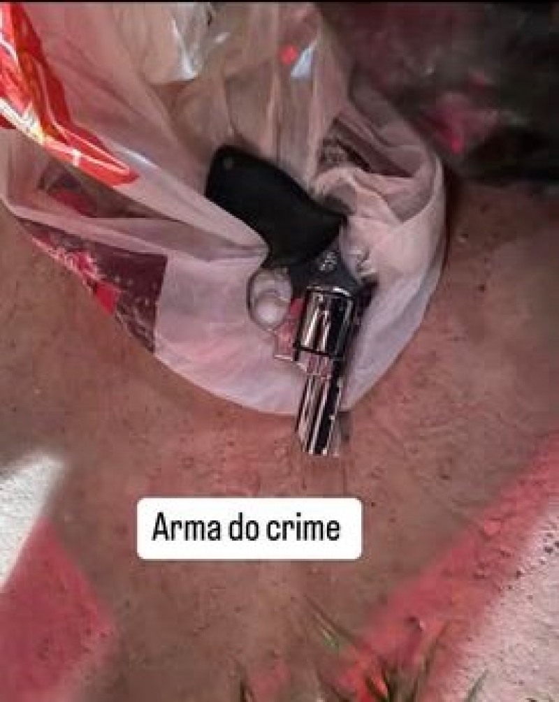 Arma do crime (Foto: Reprodução)