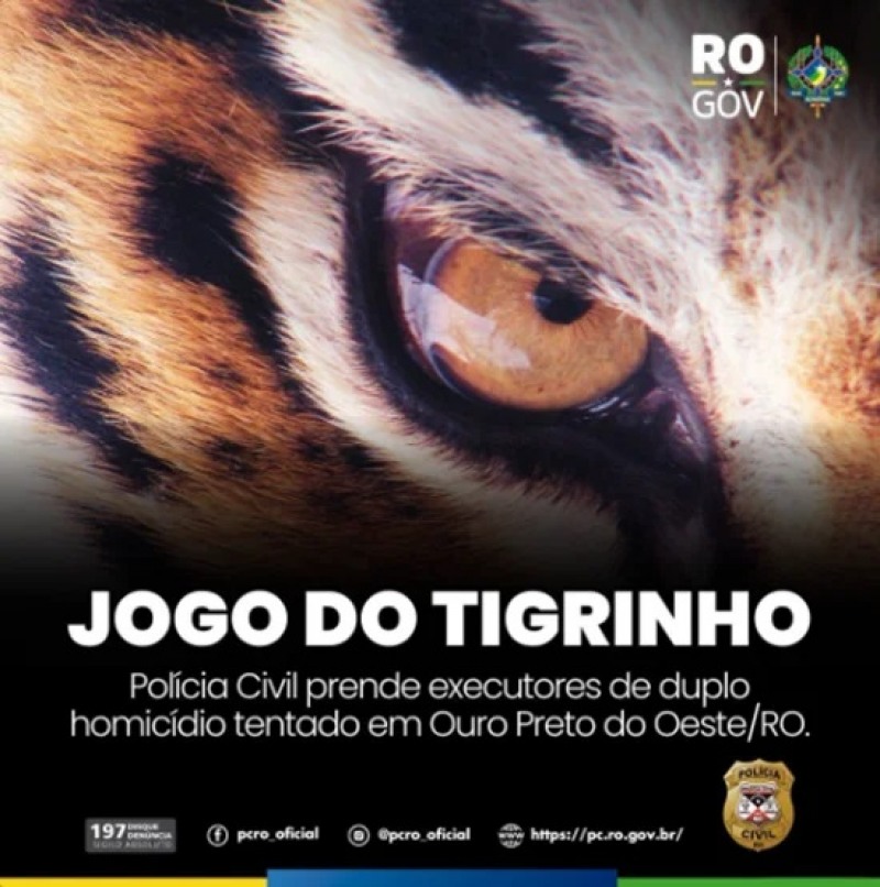Polícia (Foto: Reprodução)