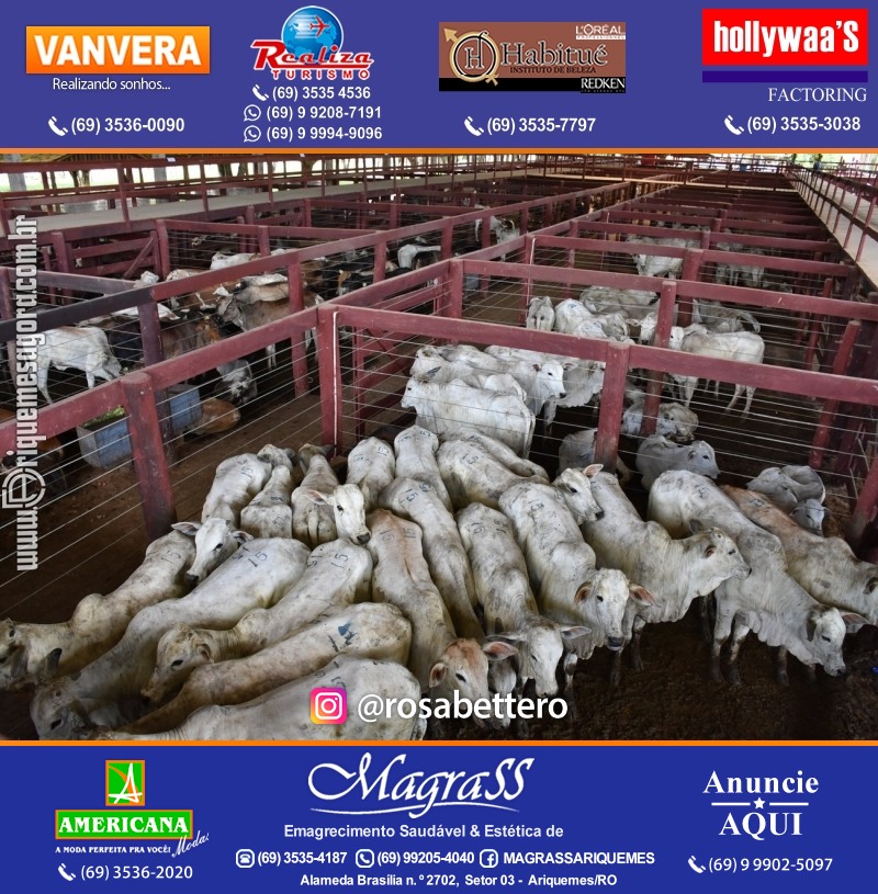 12º Leilão Direito de Viver em Ariquemes em Prol Hospital do amor de Rondônia