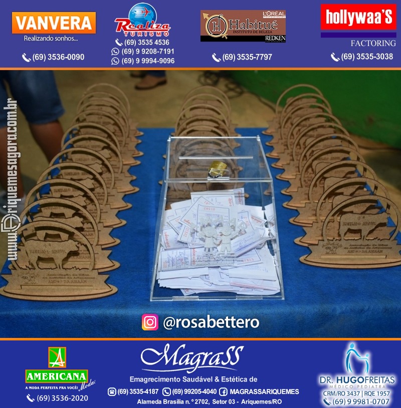 8º LEILÃO VIRTUAL AZUL da AMAAR Associação de Mães de Autistas de Ariquemes na APA