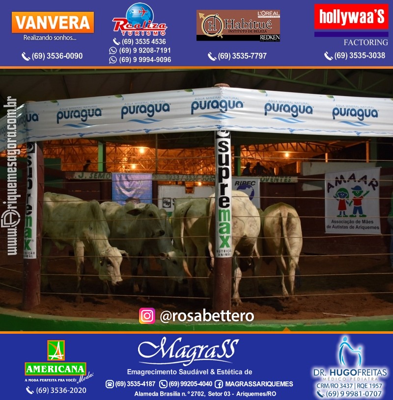 8º LEILÃO VIRTUAL AZUL da AMAAR Associação de Mães de Autistas de Ariquemes na APA