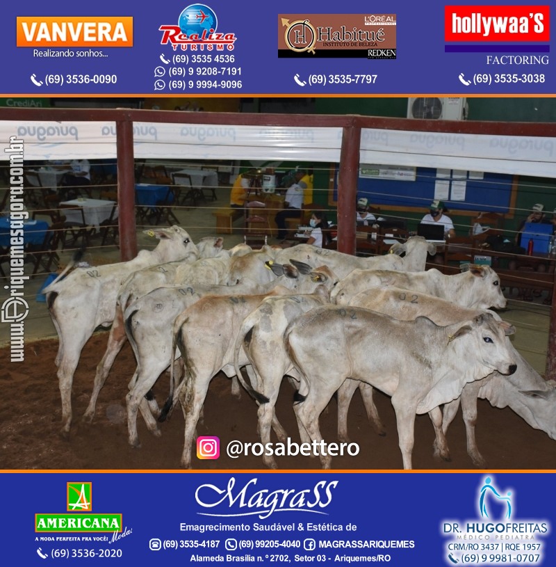 8º LEILÃO VIRTUAL AZUL da AMAAR Associação de Mães de Autistas de Ariquemes na APA