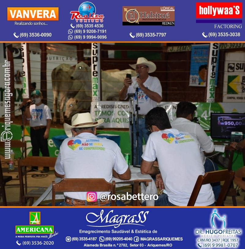 8º LEILÃO VIRTUAL AZUL da AMAAR Associação de Mães de Autistas de Ariquemes na APA