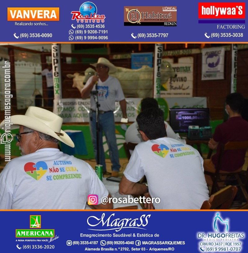 8º LEILÃO VIRTUAL AZUL da AMAAR Associação de Mães de Autistas de Ariquemes na APA