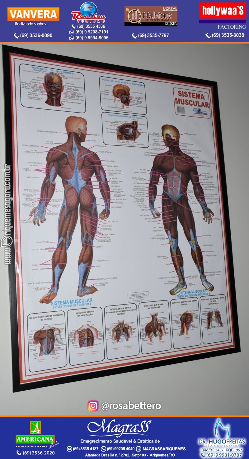 Reinauguração Ortotrauma Fisioterapia NOVO ENDEREÇO - Rua Cacaueiro (5ª Rua) St 01 nº 1656 em Ariquemes-RO