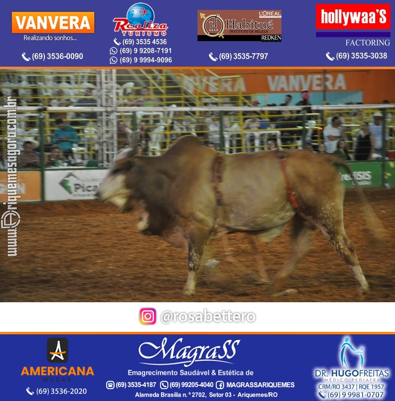 EXPOARI 2022 - Galera & Rodeio & Show com Gusttavo Lima e Camarote V8 na APA