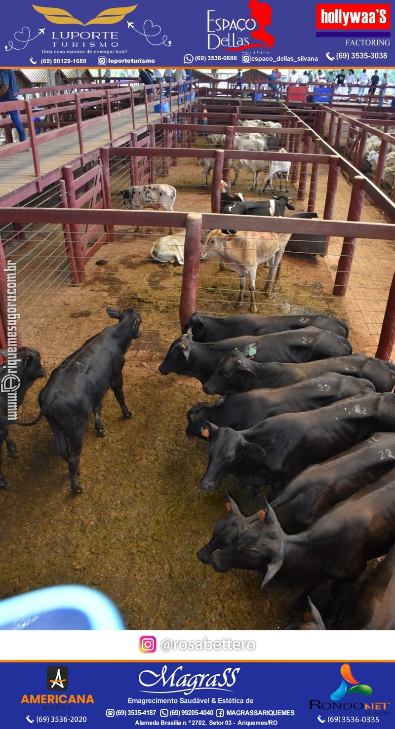 15º Leilão Direito de Viver em Ariquemes em Prol Hospital do Amor de Rondônia