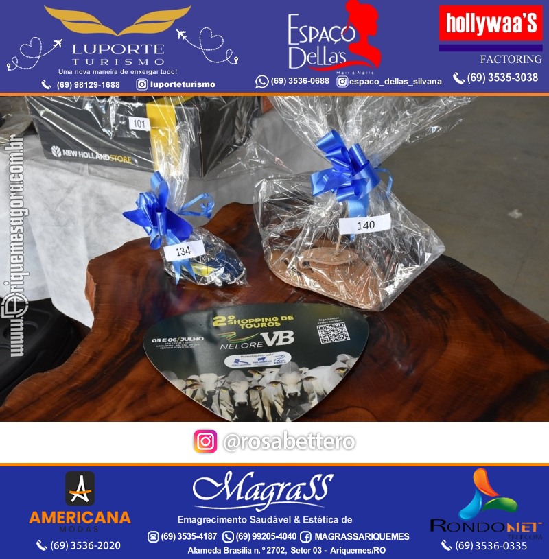 12º Leilão Azul em Prol da AMAAR Ariquemes Rondônia