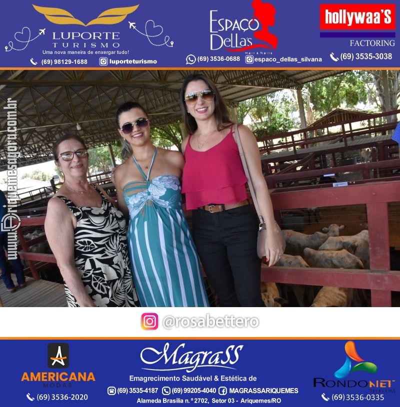 12º Leilão Azul em Prol da AMAAR Ariquemes Rondônia