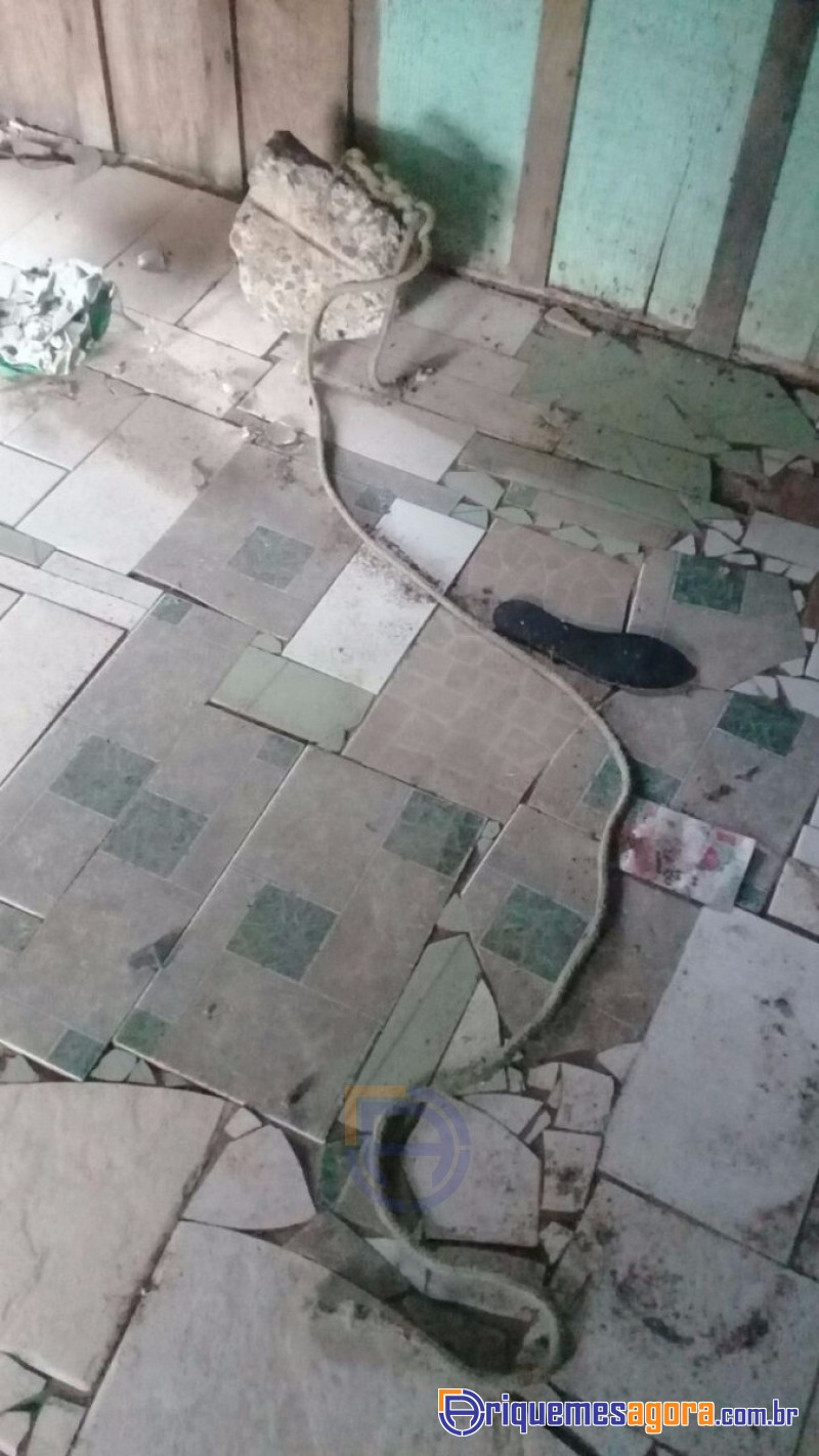 CASO TAINÁ - Polícia encontra casa de suposto cativeiro para manter grávida no interior