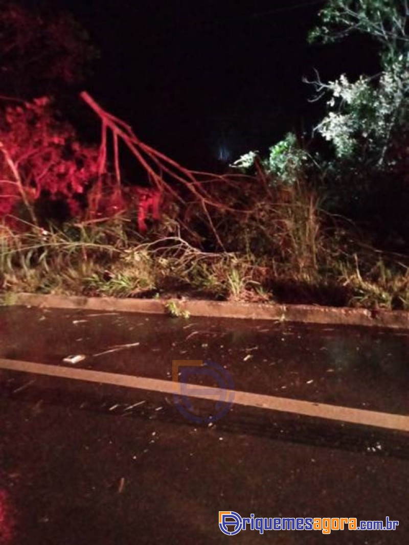 Mototaxista de Ariquemes e irmão morrem em acidente na BR-364 após colisão entre picape e caminhão