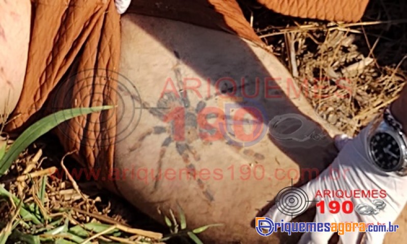 Ciclista morre atropelado na 421 em Ariquemes - Corpo ainda não foi identificado