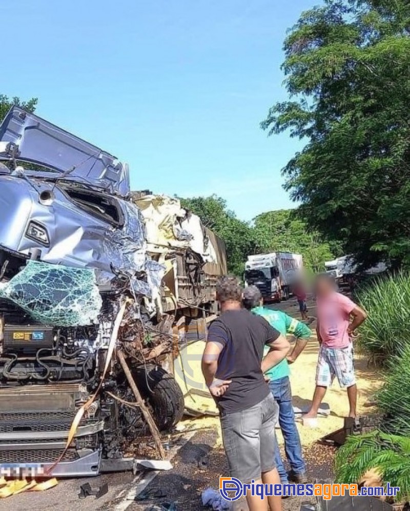Caminhoneira tubaronense conhecida nas redes sociais se envolve em grave acidente-VÍDEO